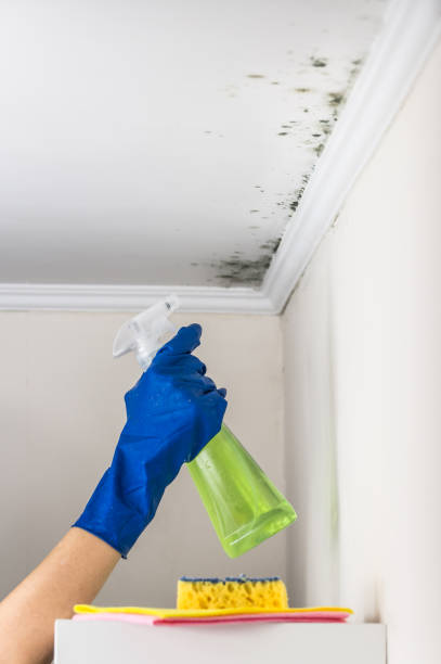 Best Emergency Mold Remediation in Goshen, KY